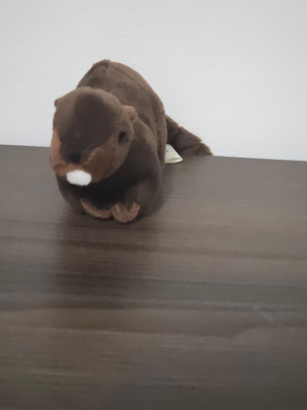 wish pets beaver finger puppet
